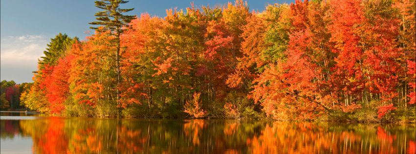 Discover New England