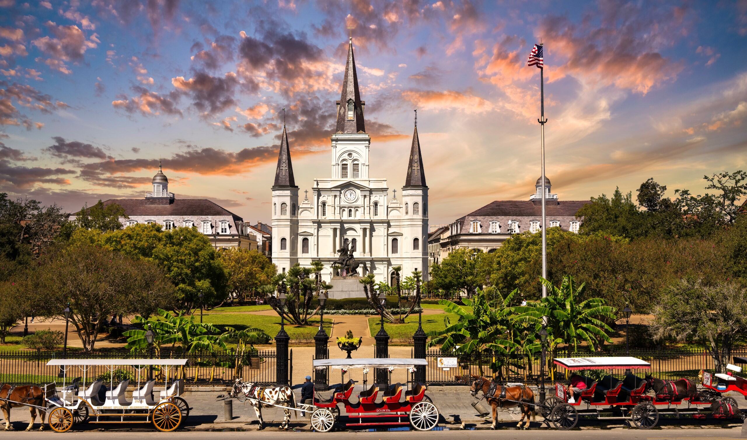 New Orleans & Company