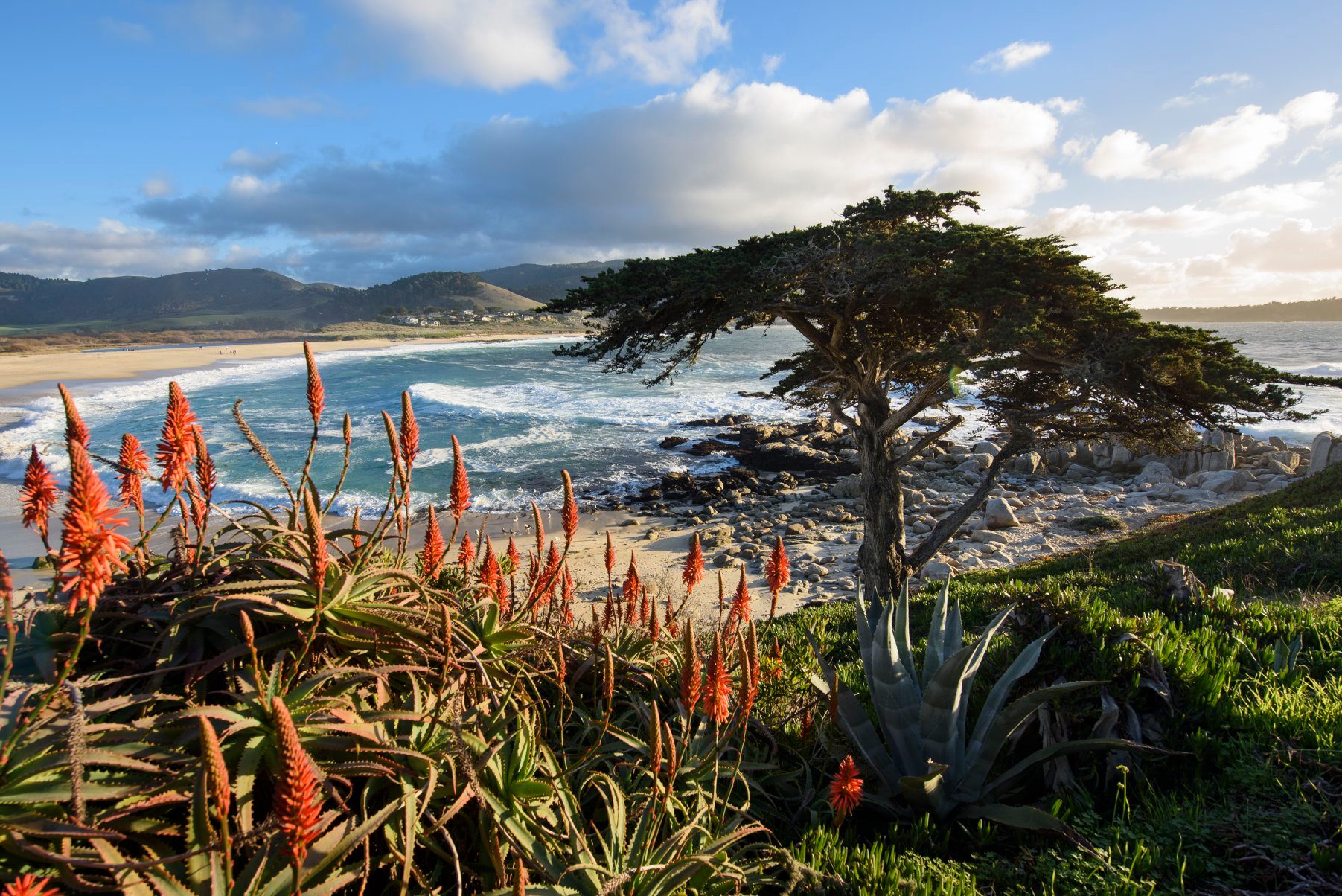 See Monterey