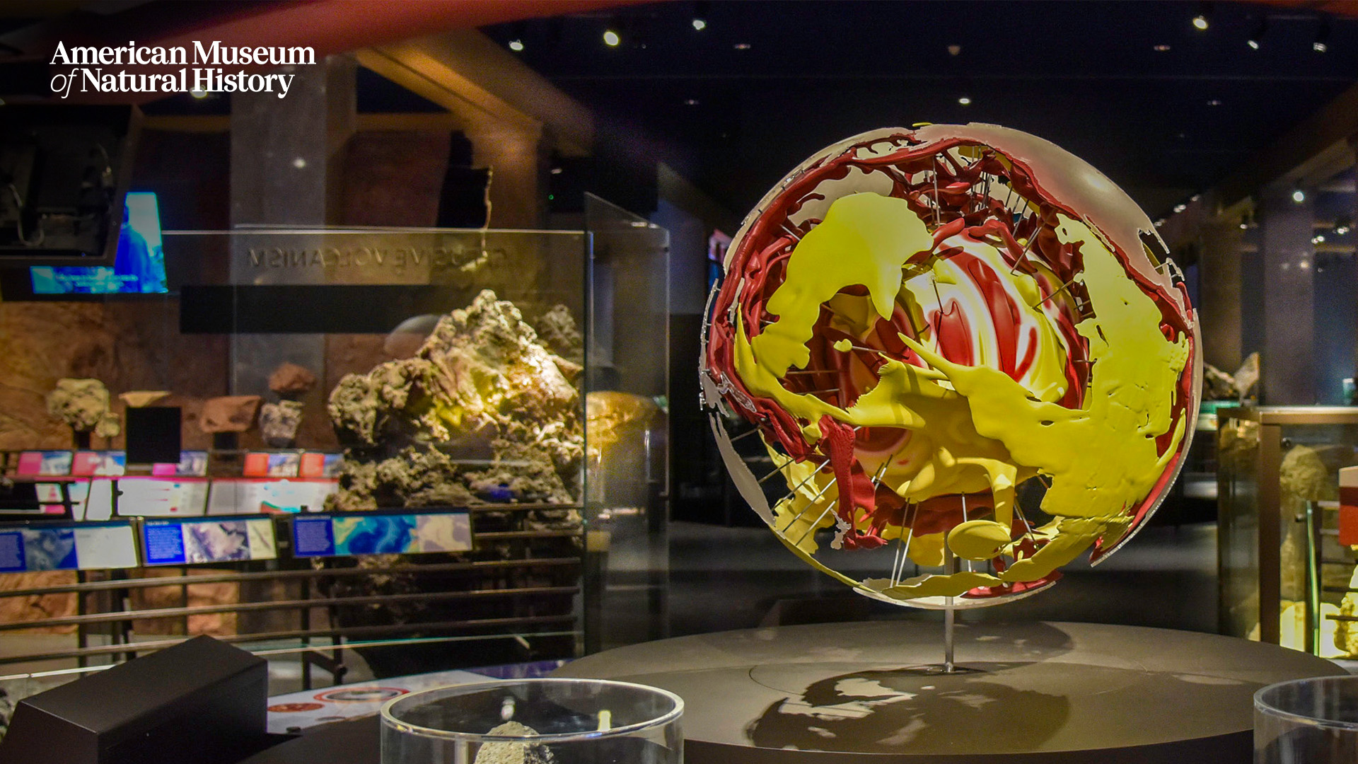 American Museum of Natural History